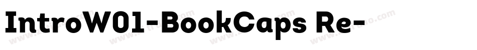 IntroW01-BookCaps Re字体转换